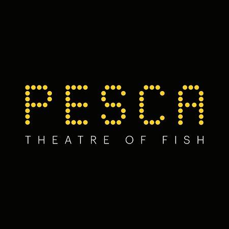 pesca rotterdam reviews.